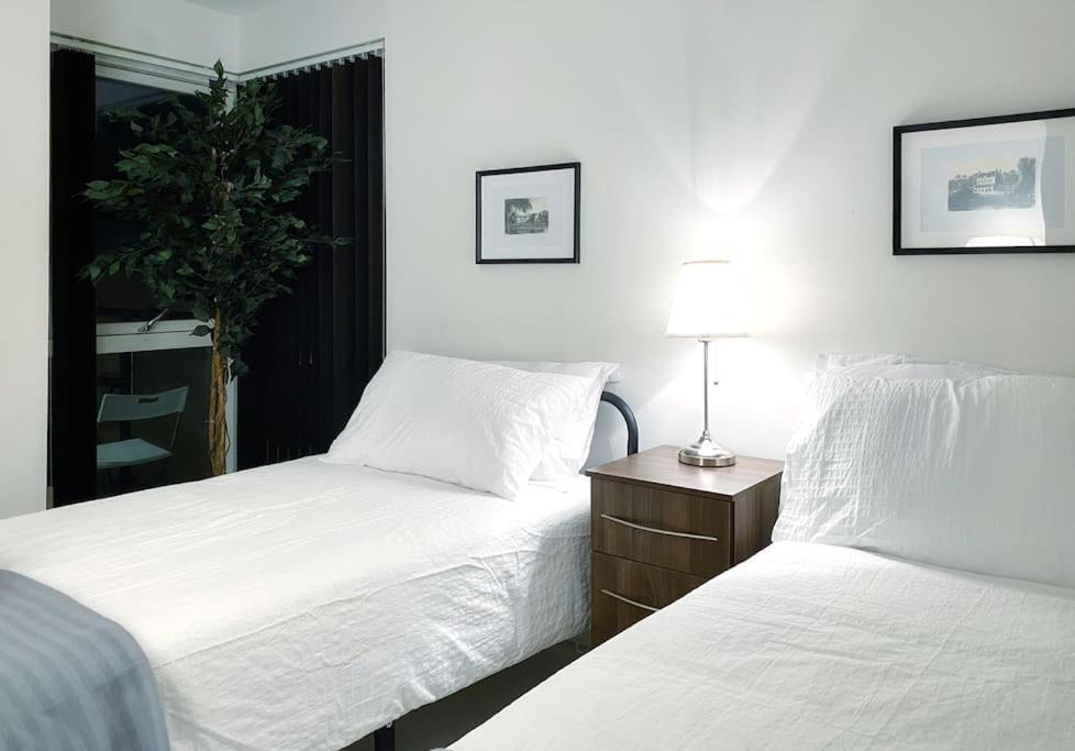Two Bedroom Luxury Apt With Film Style สวอนซี ภายนอก รูปภาพ